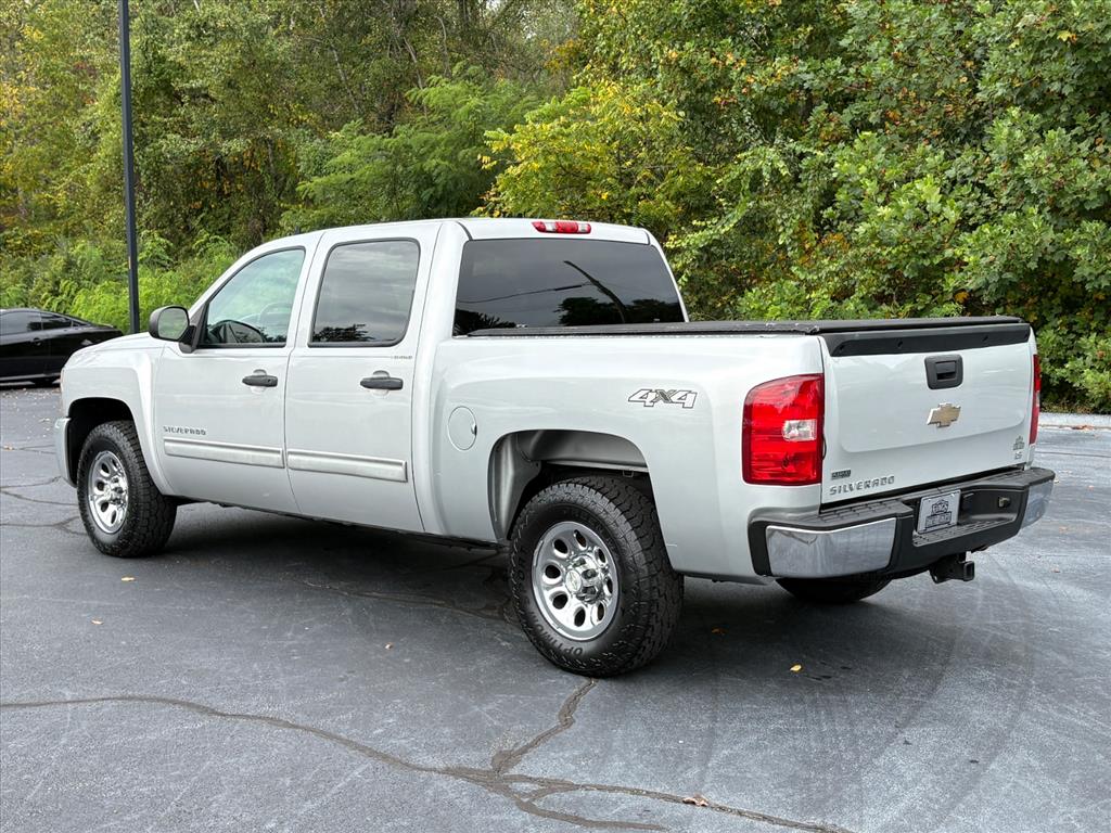 2010 Chevrolet Silverado 1500 LS