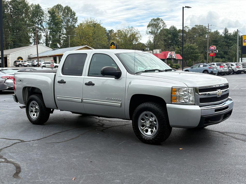 2010 Chevrolet Silverado 1500 LS