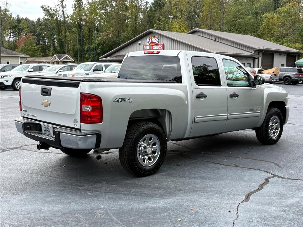 2010 Chevrolet Silverado 1500 LS